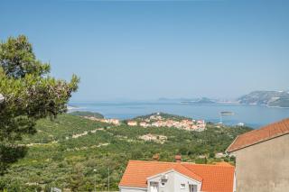 Apartments Lidija - Cavtat - 9