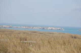 FreeSurfCamp & Hostel - Peniche - 8