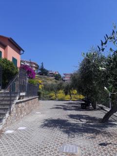 Barbara's House - Liguria - Santo Stefano al Mare - 2