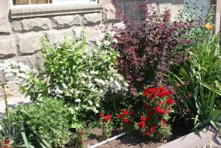 Karin's B&B - Sisian - 2