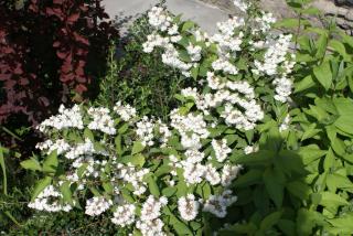 Karin's B&B - Sisian - 4