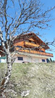 Les Genévriers - Foncine-le-Haut - 9