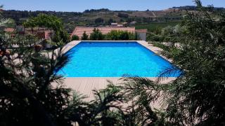 Quinta Do Acipreste (Antiga Quinta Da Torre) - Lamego - 8