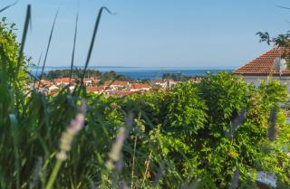 Elegance - Krk (Veglia) - 7