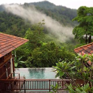 The Shorea - Seremban - 5
