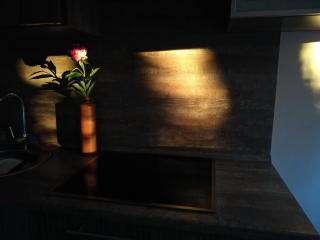 Pine forest apartment - Palanga - 3