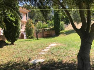 Agréable Location au coeur du vignoble DOMINICI THERESE - Patrimonio - 9