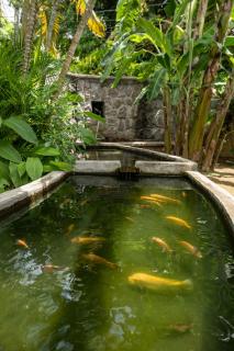 Felicie Cottage & Residence - Anse Royale - 5