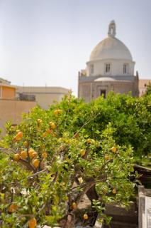 Le Corti - Procida - 0