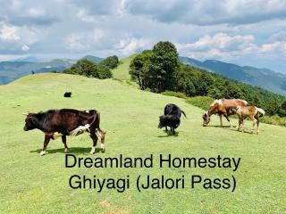 DreamLand Home stay (JALORI PASS) - 8