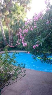Gite de l'Amandari - classé 3 etoiles Prefecture - piscine chauffée privative, terrasses et jardin, 5 minutes à pied du village - Le Plan-de-la-Tour - 3