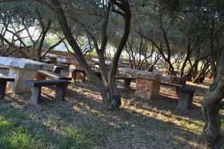 Apartment Dario - Vodice - 8