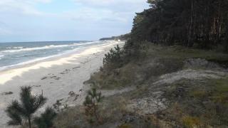 Küstenwilla FeWo Usedom - Zinnowitz - 3
