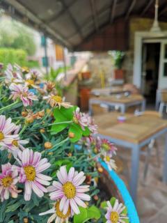 Locanda Miranda - 7