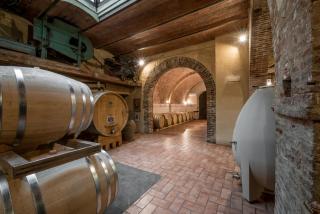 Fattoria del Colle - Trequanda - 3