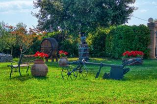 Agriturismo Le Terre del Casale - Assisi - 4