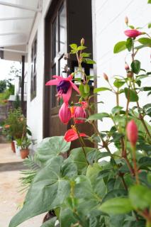 Hinode Hotel ဟိနောဒေ့ဟိုတယ် - Kalaw - 3