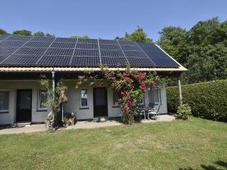 Holiday Home in Neubukow with Terrace - Neubukow - 5