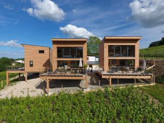 COTTAGES ANTOINETTE - Chigny-les-Roses - 7