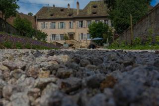 Jardin de l'Abbaye, demeure de charme - Andlau - 2