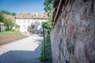 Jardin de l'Abbaye, demeure de charme - Andlau - 3