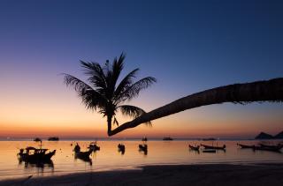 Lotus Paradise Resort - SHA PLUS - 0