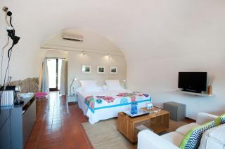 Mas Falgarona Hotel Boutique & SPA - Avinyonet de Puigventós - 8