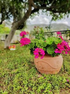 Stavrini's House - 3