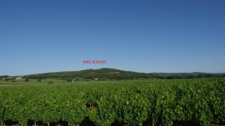 Mas Buissas - Cornillon - 5