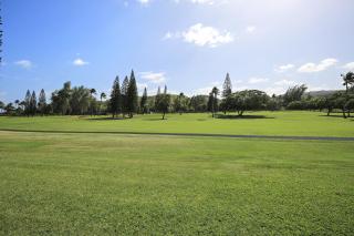 Protea Condo - Kahuku - 0