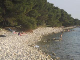 Luxury villa with a swimming pool Vodnjan, Fazana - 16867 - 1