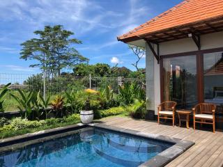 Private Pool Villa - Villa Saia Ubud - Ubud - 5