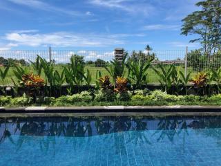 Private Pool Villa - Villa Saia Ubud - Ubud - 3