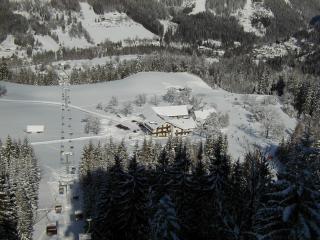 Berg-Panorama-Hof Sturmgut - 3