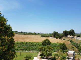 Trulli della Masseria Staffone - 4