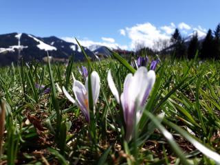 Nagellehen - Flachau - 7