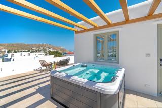 Mykonos Cactus - 1