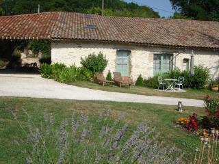 La Maison de Maitre - Sainte-Livrade-sur-Lot - 9