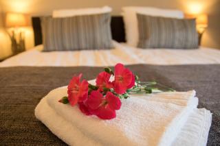 Bed & Breakfast Bos en Weide - 3