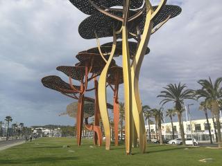 Carrer Amadeu Vives 69 - La Pineda - 3