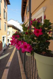 Le Finestre sul Borgo Rooms - Peschiera del Garda - 2