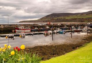 The Bridge Helmsdale - Helmsdale - 7
