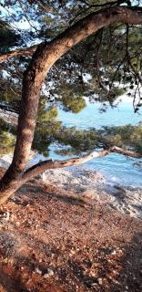 Apartment Rita - Makarska - 5