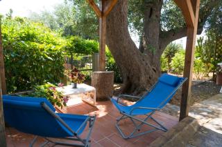 Residence Chalet degli Ulivi - Marina di Camerota - 1