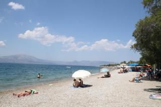 Katerina's - 4
