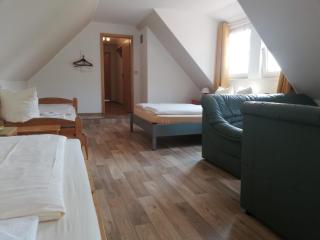 Landgasthaus Zur Mühlenwirtin - Petershagen - 7