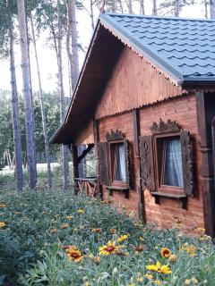 Sosenka - Zalas - 2