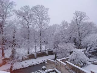 B&B Speelmansrei - Bruges - 2