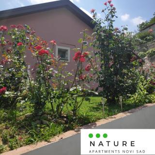 Just nature - 1