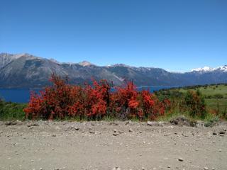 TU RINCON EN LA PATAGONIA - San Martín de los Andes - 0